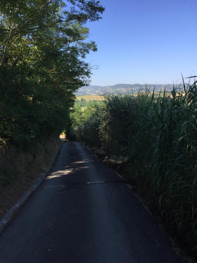 Casa Natura San Gimignano Zewnętrze zdjęcie